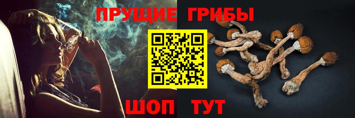 Псилоцибиновые грибы прущие грибы Тавда