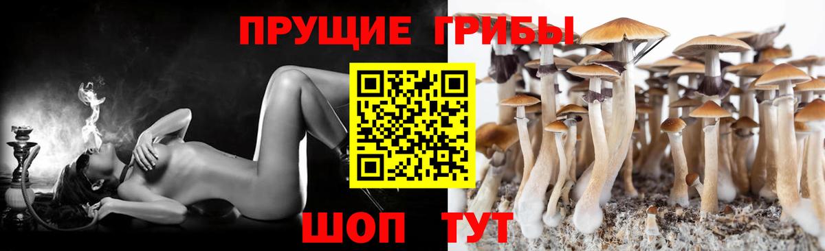 Псилоцибиновые грибы ЛСД  Вход с VPN  Галлюциногенные грибы Magic Shrooms  Тавда 